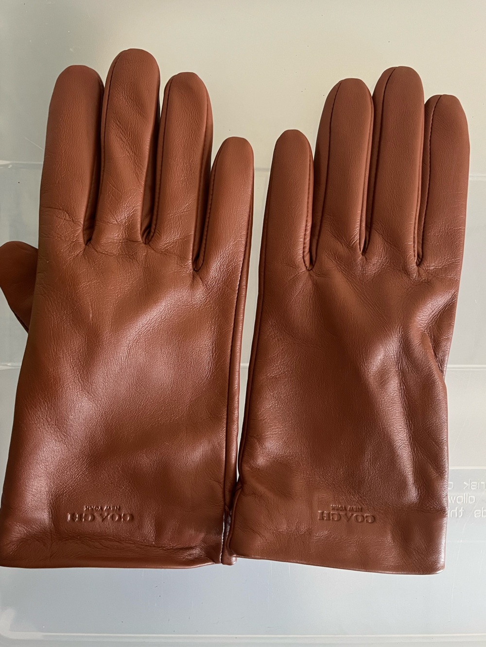 COACH Women’s Leather Gloves